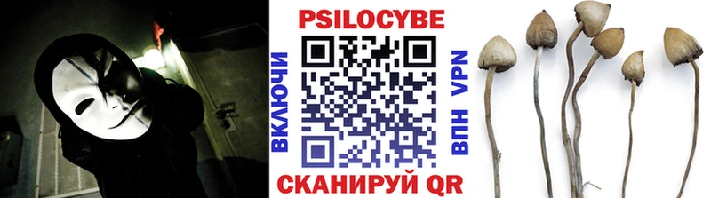 Галлюциногенные грибы Cubensis  Кирово-Чепецк 